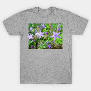 Lavender stars T-Shirt